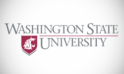 washington-state-university-logo-design.jpg
